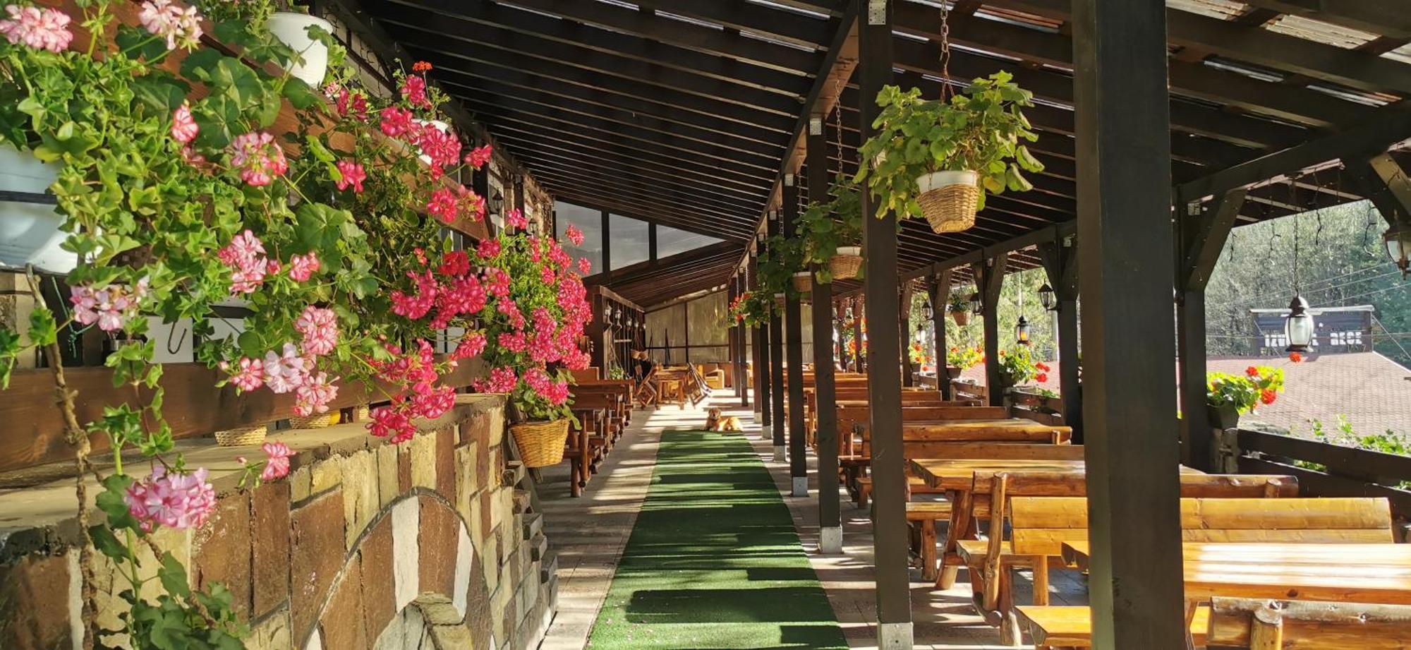 Hanul Izvorul Rece سِنايا المظهر الخارجي الصورة